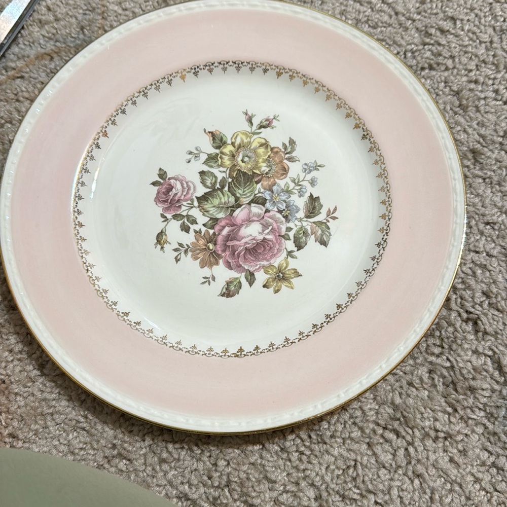 Homer Laughlin Eggshell Georgian Open Rose Pattern. Dinner Plate